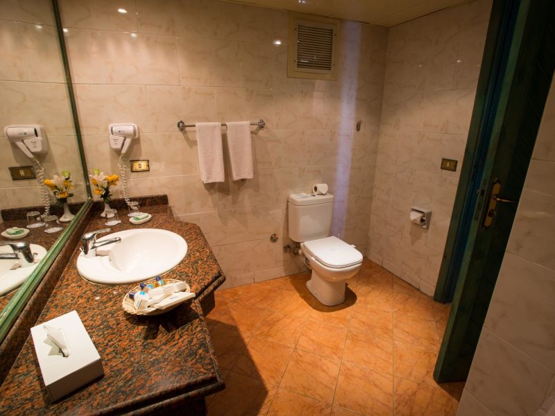 011-BD-bathroom-example-double-room-standard-garden-view-standard-garden-view-room_103138558