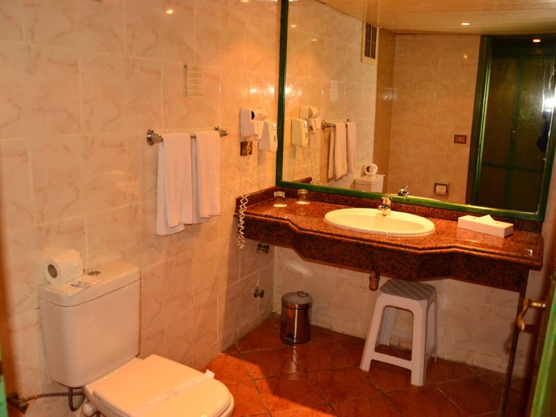 041-BD-bathroom-example-double-room-standard-garden-view-standard-garden-view-room_103138906